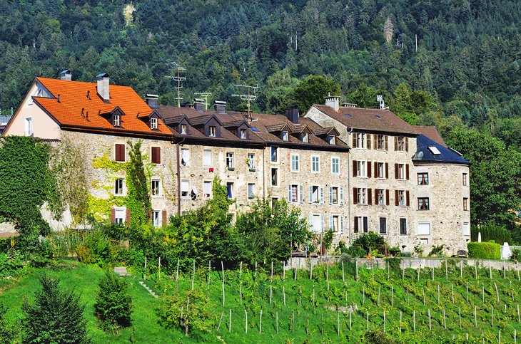 Houses in Bregenz Upper Town