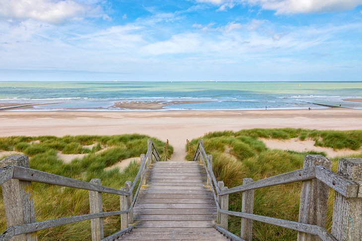 Sea Grass and Dunes at Blankenberge