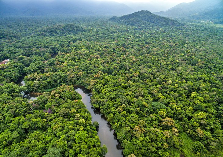 Aerial photo of the Amazon Rainforest