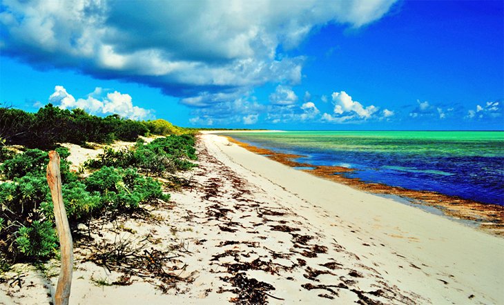 Bones Bight Beach, Anegada