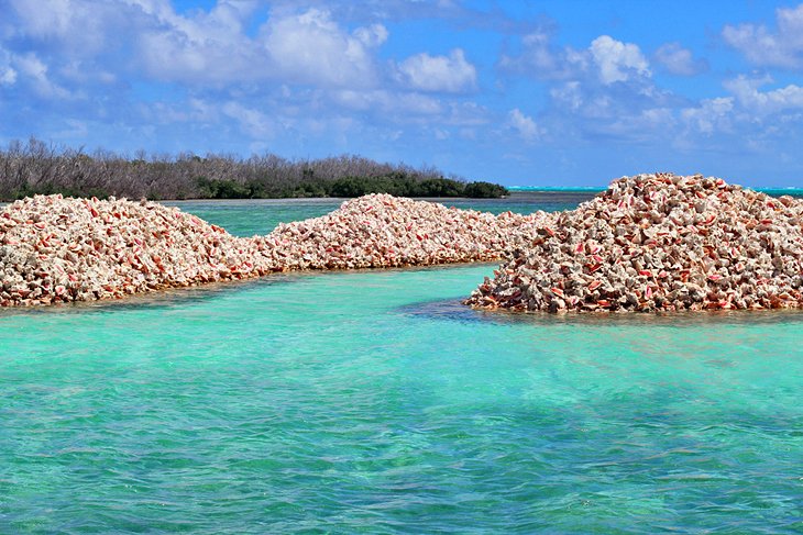 Conch Island, Anegada