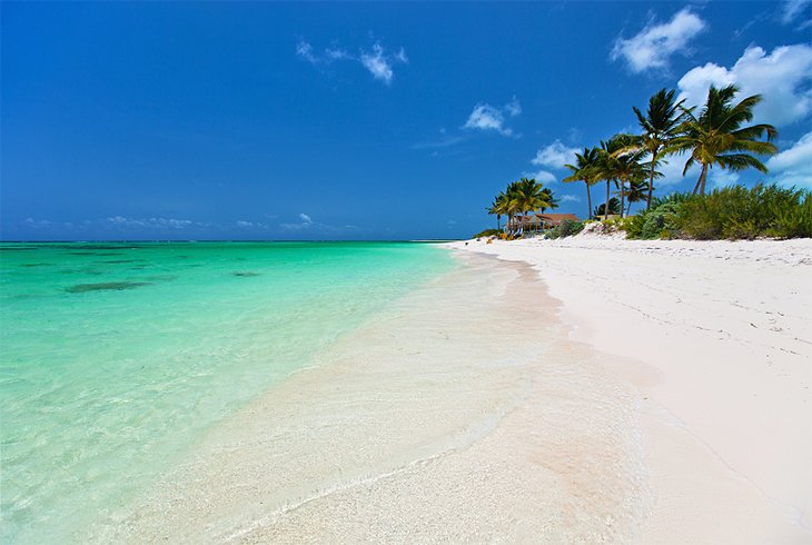 Stunning Loblolly Beach