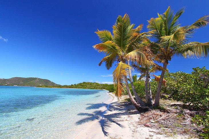 Long Bay Beach, Beef Island