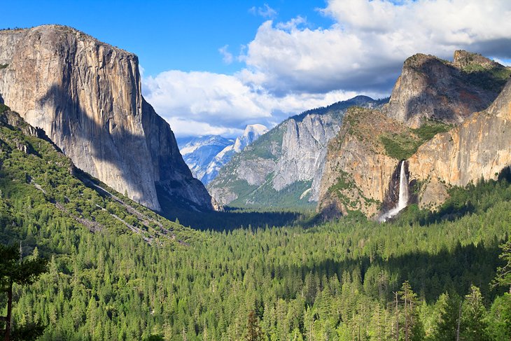 yosemite national park tours from los angeles