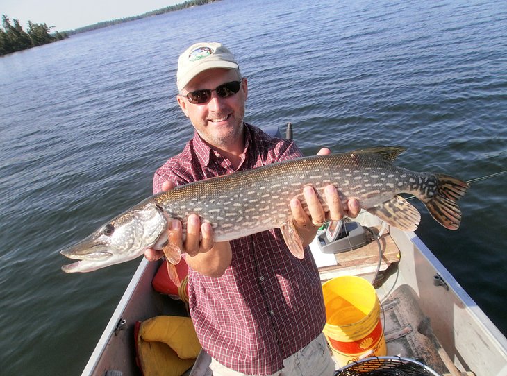 Michael Law with a northern pike