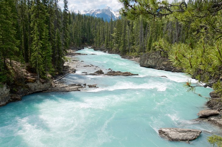 Kicking Horse River in Yoho National Park