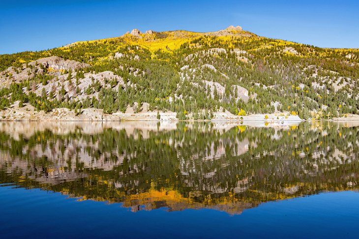 Aspen trees reflected in Lake San Cristobal