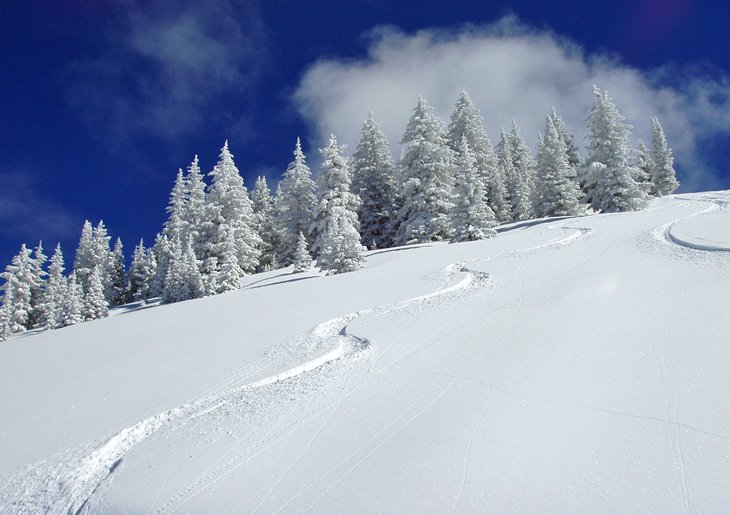 Fresh ski tracks in the powder at Vail