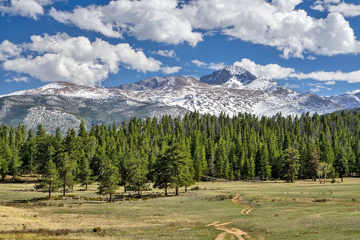 Longs Peak from Upper Beaver Meadows