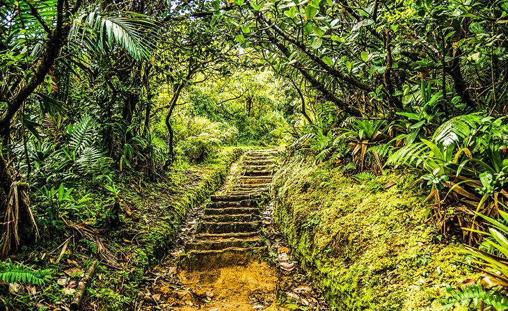 Stairway Pathway