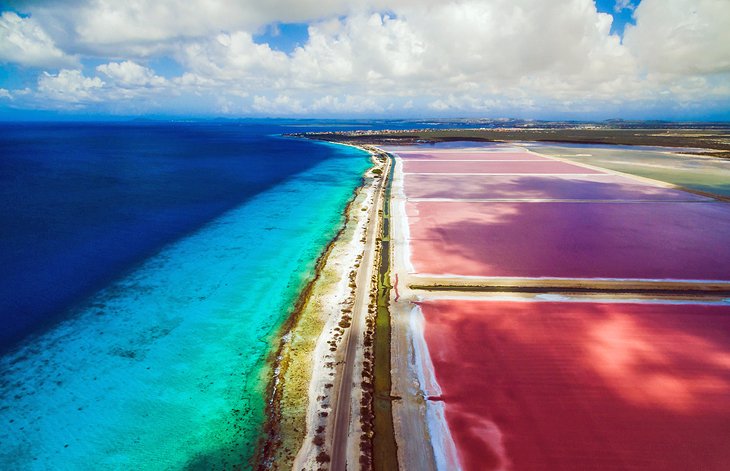 Bonaire Salt Pans