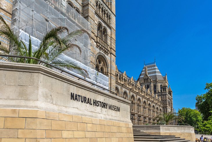 Natural History Museum in London