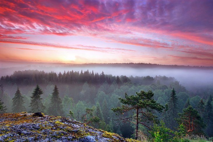 Sunrise over Nuuksio National Park