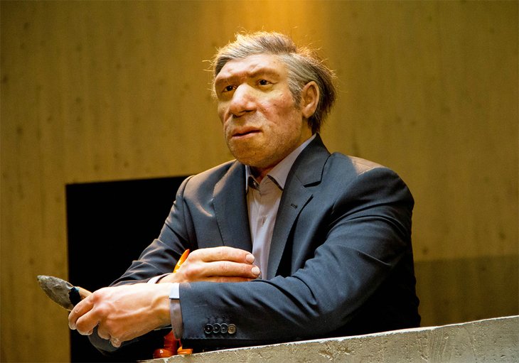 Exhibit at the Neanderthal Museum