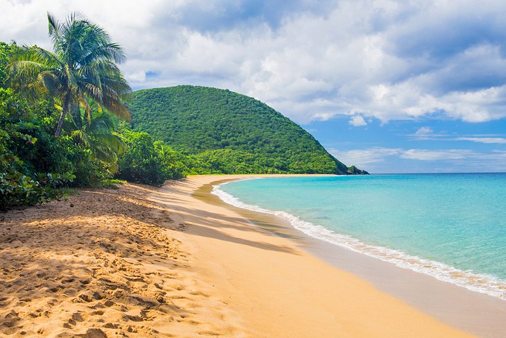 Grand Anse Beach