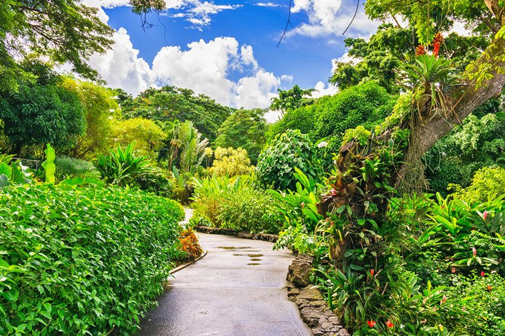 Jardin Botanique de Deshaies