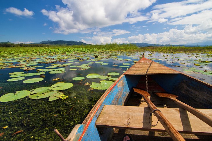 Rowboat on Lake Yojoa