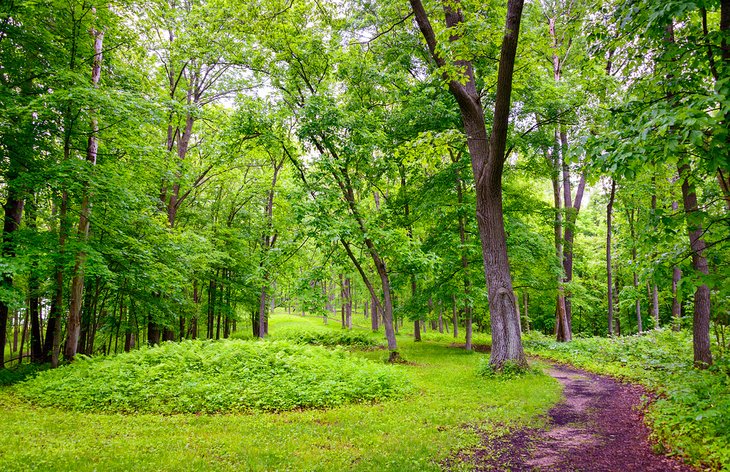 American Indian Mound at Effigy Mounds National Monument