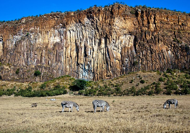 Zebras in Hell's Gate National Park