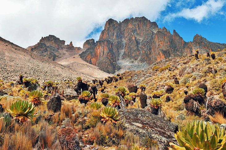 Mount Kenya