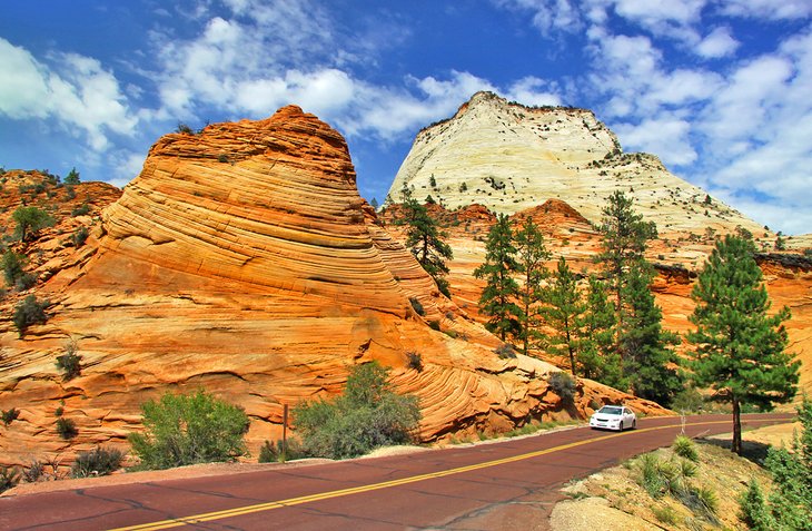 Car on a scenic road in Zion National Park