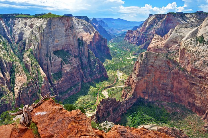 View of Zion Canyon from Observation Point