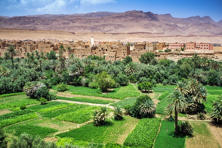 Oasis in the Dades Valley