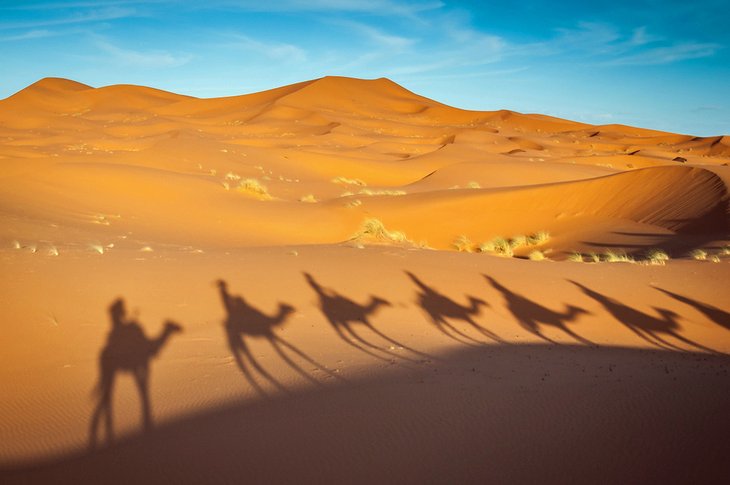 Balade à dos de chameau dans le désert de Merzouga