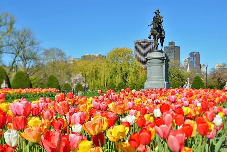 Statue de George Washington et tulipes dans le jardin public de Boston