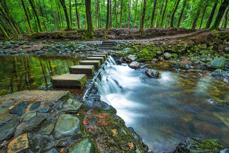 Tollymore Forest Park