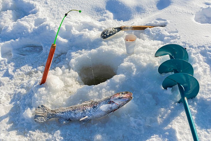 Ice fishing for rainbow trout