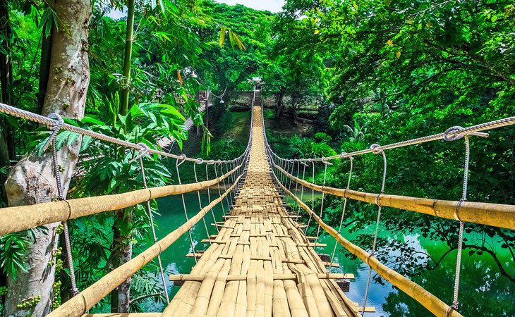 Bamboo hanging bridge over the Loboc River on Bohol Island