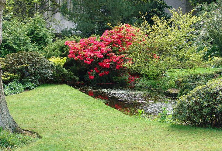 Cruickshank Botanic Gardens