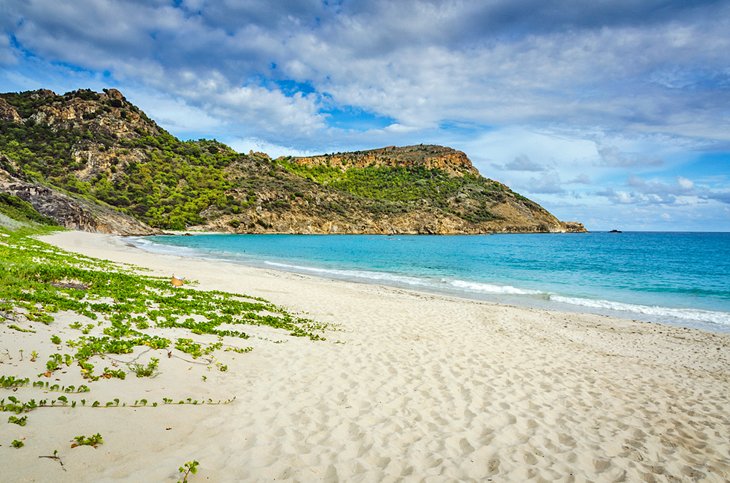 Beautiful Saline Beach