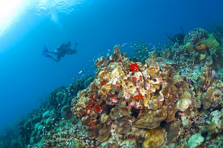 Anse Chastanet Marine National Park