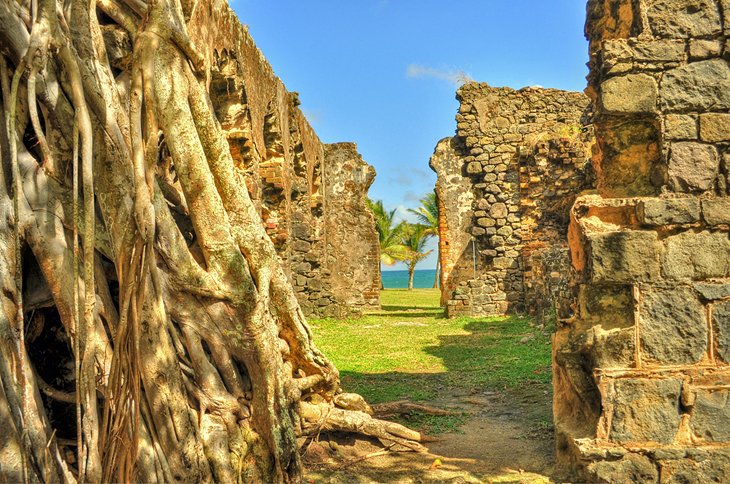 Fort Rodney, Pigeon Island