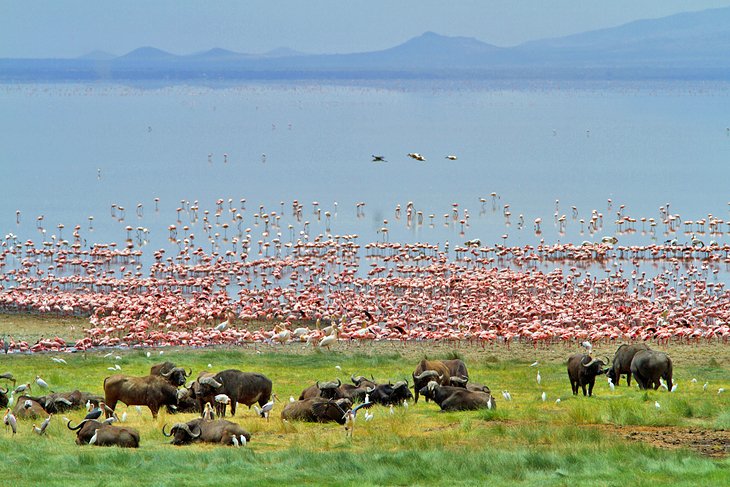 Lake Manyara