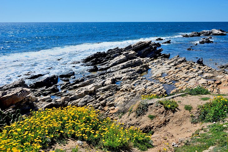 Cap Bon Peninsula