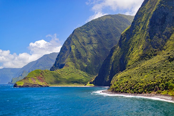 World's tallest sea cliffs in Molokai