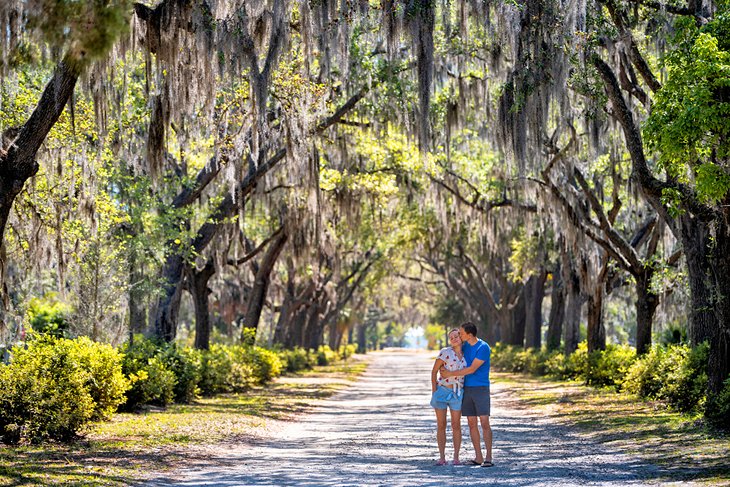 Couple on an oak-lined street in Savannah