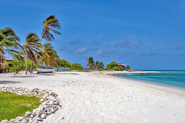 Beach in the Dos Mosquises Islands