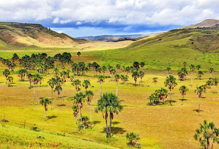 The beautiful landscape of La Gran Sabana