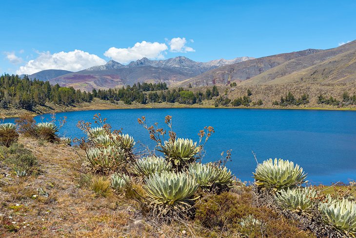 Mucubaji Lake