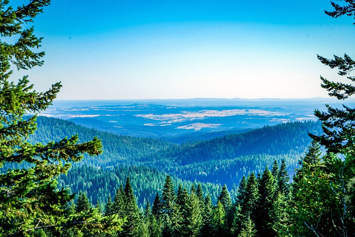 View from Mount Spokane