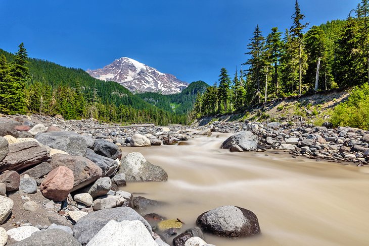 The Nisqually River and Mount Rainier