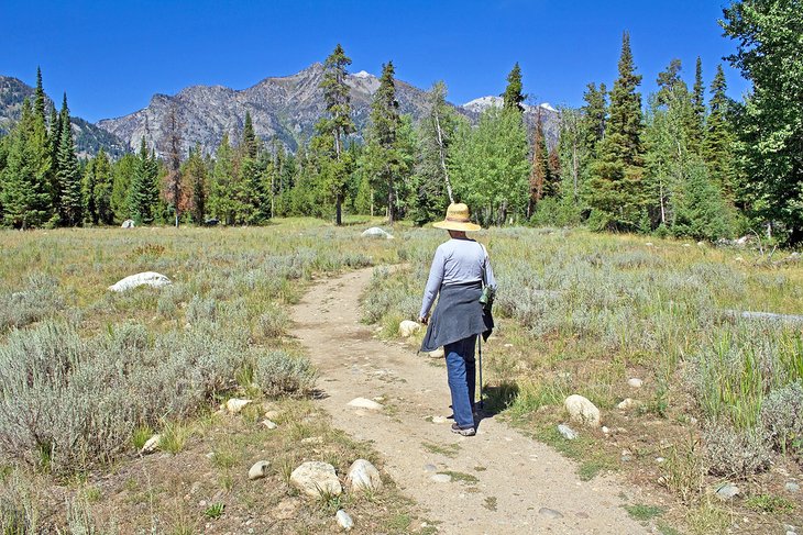 Hiker on the Phelps Lake Trail Loop in the Laurance S. Rockefeller Preserve