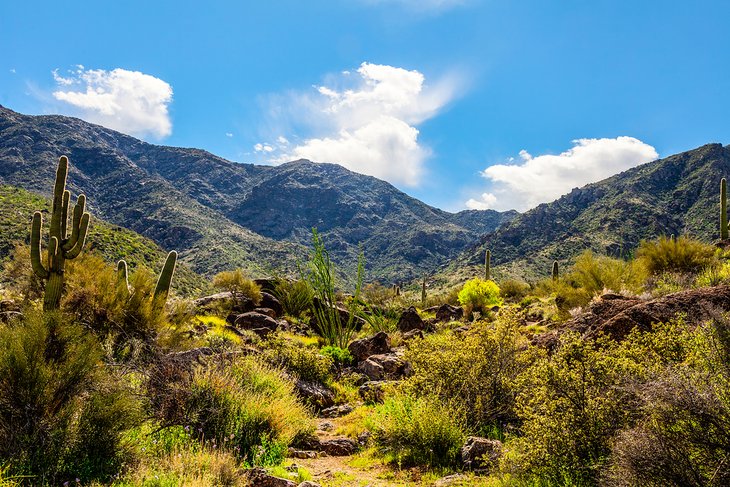 Harquahala Trail west of Wickenburg