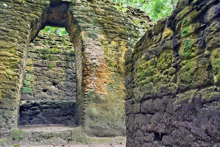 Mayan ruins at El Pilar