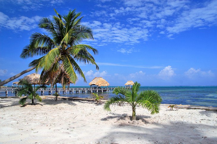 Ambergris Caye