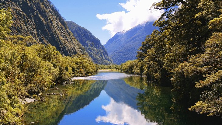 View from the Milford Track